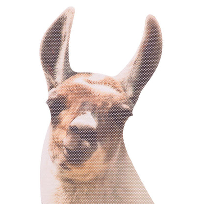 Ride With Llama - Raamstickers "Llama"