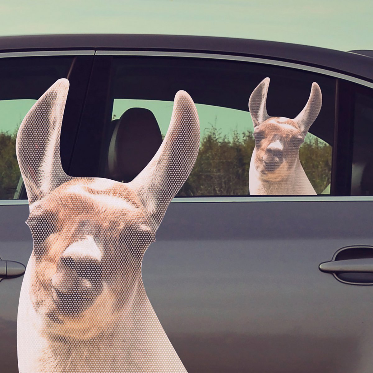 Ride With Llama - Raamstickers "Llama"